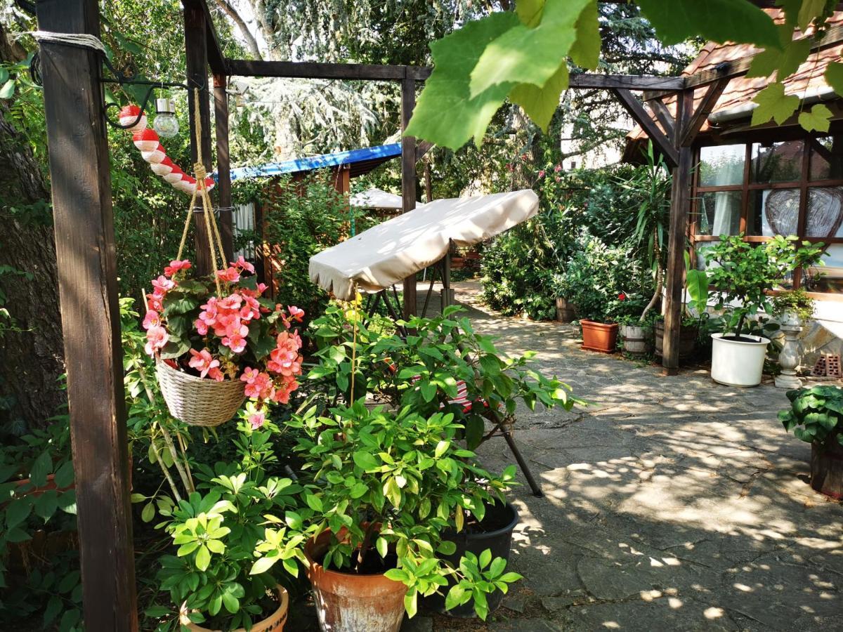 Arlekin Apartman Apartment เฮวิซ ภายนอก รูปภาพ